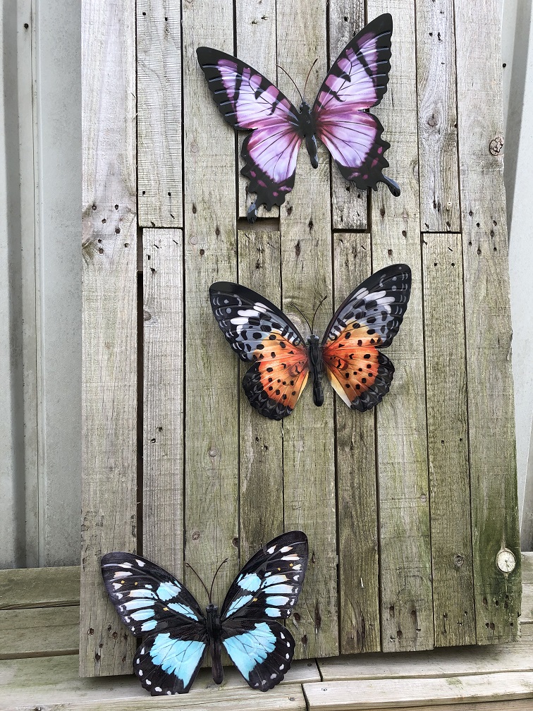 jam Matron verkiezen Set van 3 Vlinders, geheel metaal en vol in kleur, diverse kleuren. -  decohomeliving.com