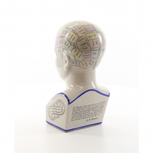 EEN PORSELEINEN PHRENOLOGY HOOFD IN KLEUR.