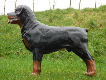 Beeld Rottweiler - 80 cm - Polystone