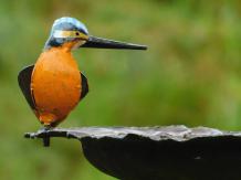 Handgemaakte Voederschaal met IJsvogel - Tuinsteker - Metaal