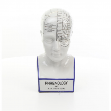 Een porseleinen phrenology hoofd in blauwe kleuring