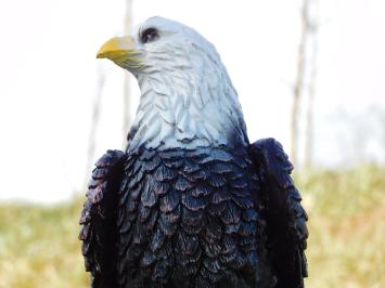 Adler auf Baumstamm - 37 cm - Polystone