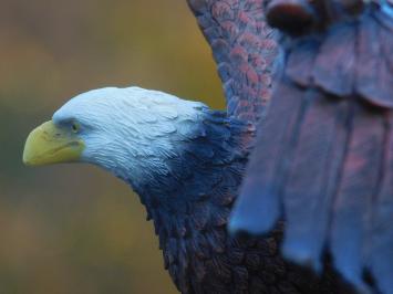 Bald Eagle - 40 x 50 cm - Polystone - Zeearend