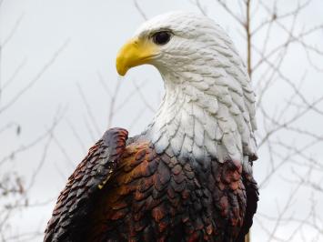 Statue Adler XL - 105 cm - Polystone