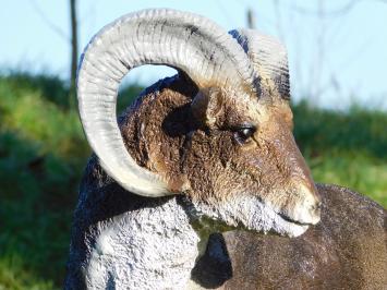 Beeld Ram in Kleur - 65 cm - Polystone