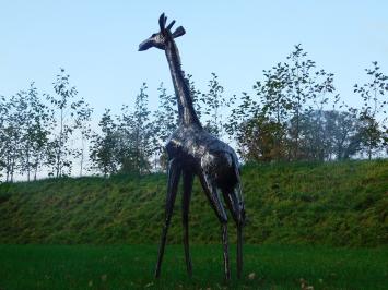 Giraffe Zuri XL - 200 cm - Handgefertigte Metallstatue