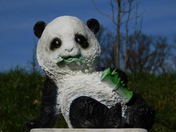 Statue Schiefer Panda - Polystone - in Farbe