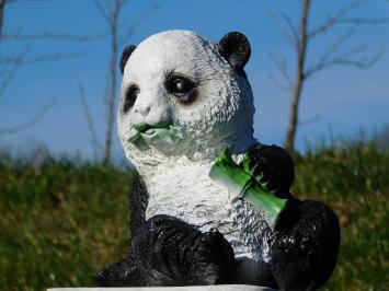 Statue Schiefer Panda - Polystone - in Farbe