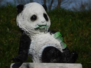 Statue Schiefer Panda - Polystone - in Farbe