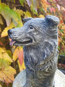 Gartenstatue von Hund, Sjors, Schäferhund, Beton