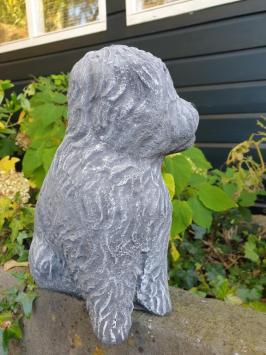 Tuinbeeld hond van beton , hond