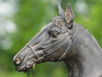 Beeld Paardenhoofd met Teugels - Polystone