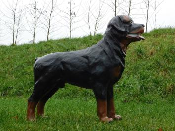 Beeld Rottweiler - 80 cm - Polystone