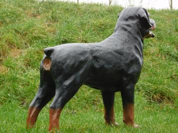 Beeld Rottweiler - 80 cm - Polystone