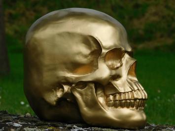 Totenkopf - Totenkopf - Polystone - Gold