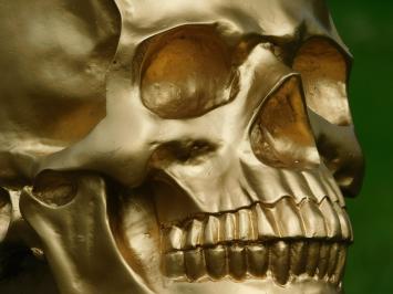 Skull - Schedel - Polystone - Goud