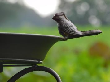 Vogelbad met Vogeltjes - 75 cm - Bruin