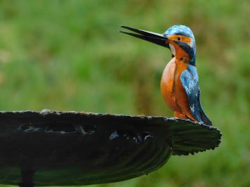 Handgemaakte Voederschaal met 2 IJsvogels - Tuinsteker - Metaal